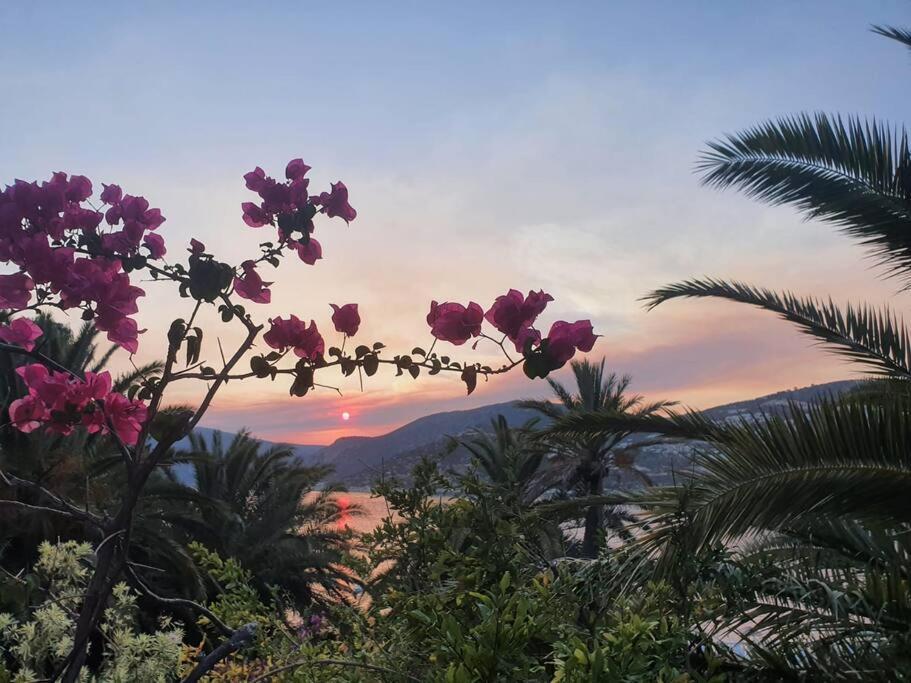 Cactus Garden Kalkan - Club Patara Villas Bagian luar foto